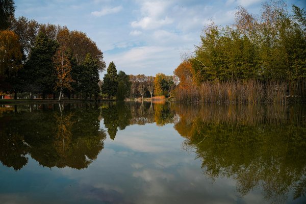 Médicaments pour la maladie d'Alzheimer : ce qu'il faut savoir