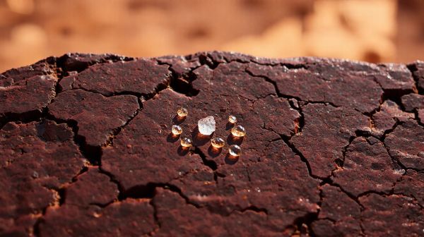 Top conseils pour sélectionner le meilleur shilajit